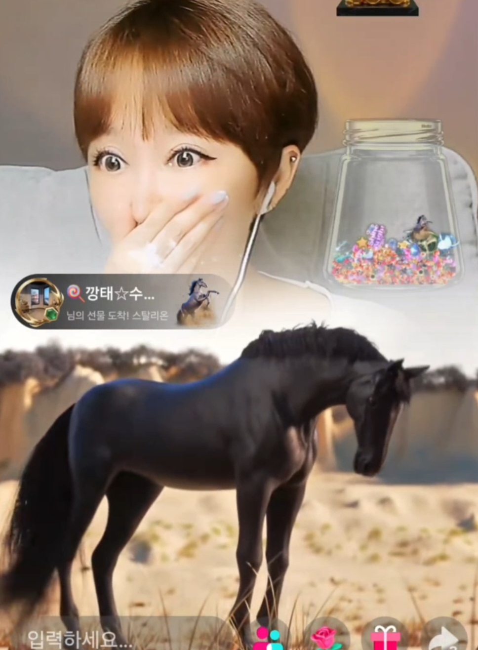 @๐ญsujinโ์์ง๐ญ