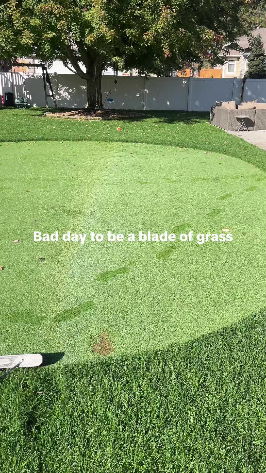 @Lawngest Yard