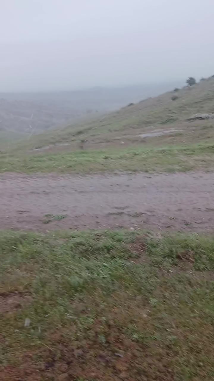 @Deniz Akpınar