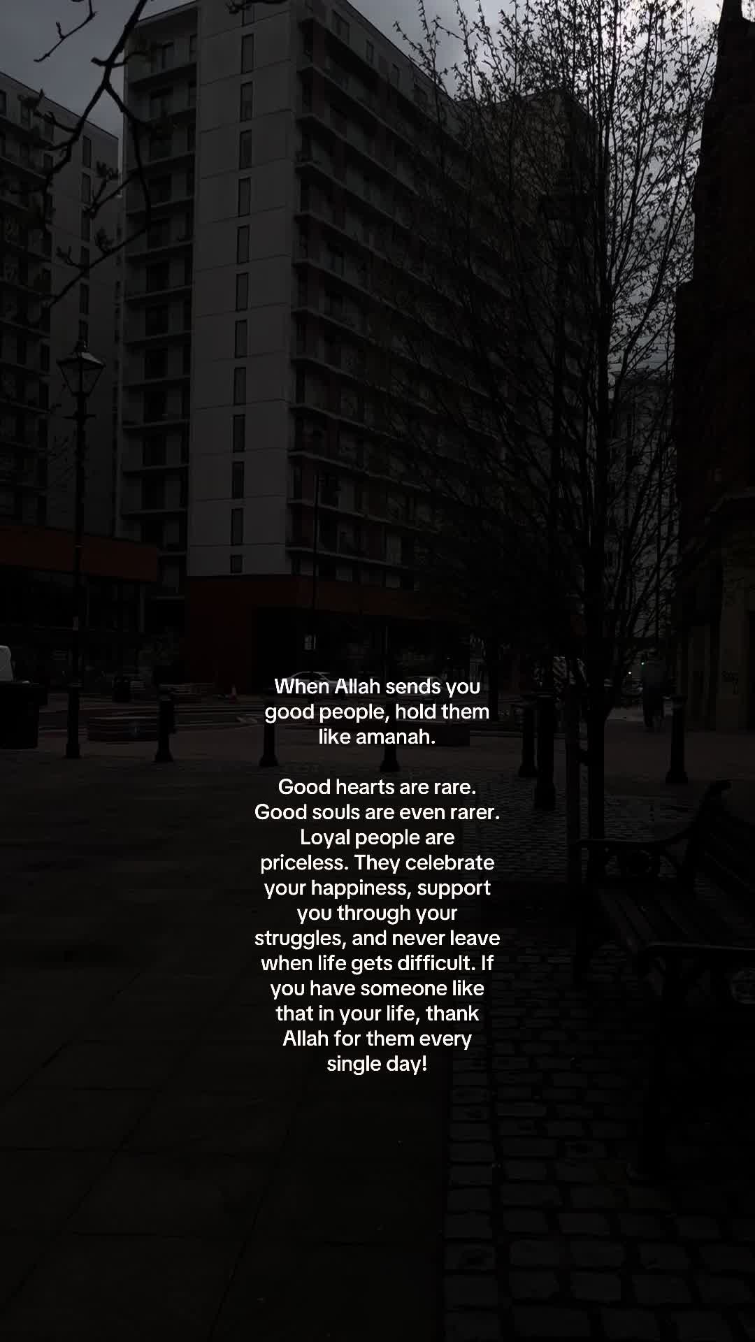 @No Doubt🕊️