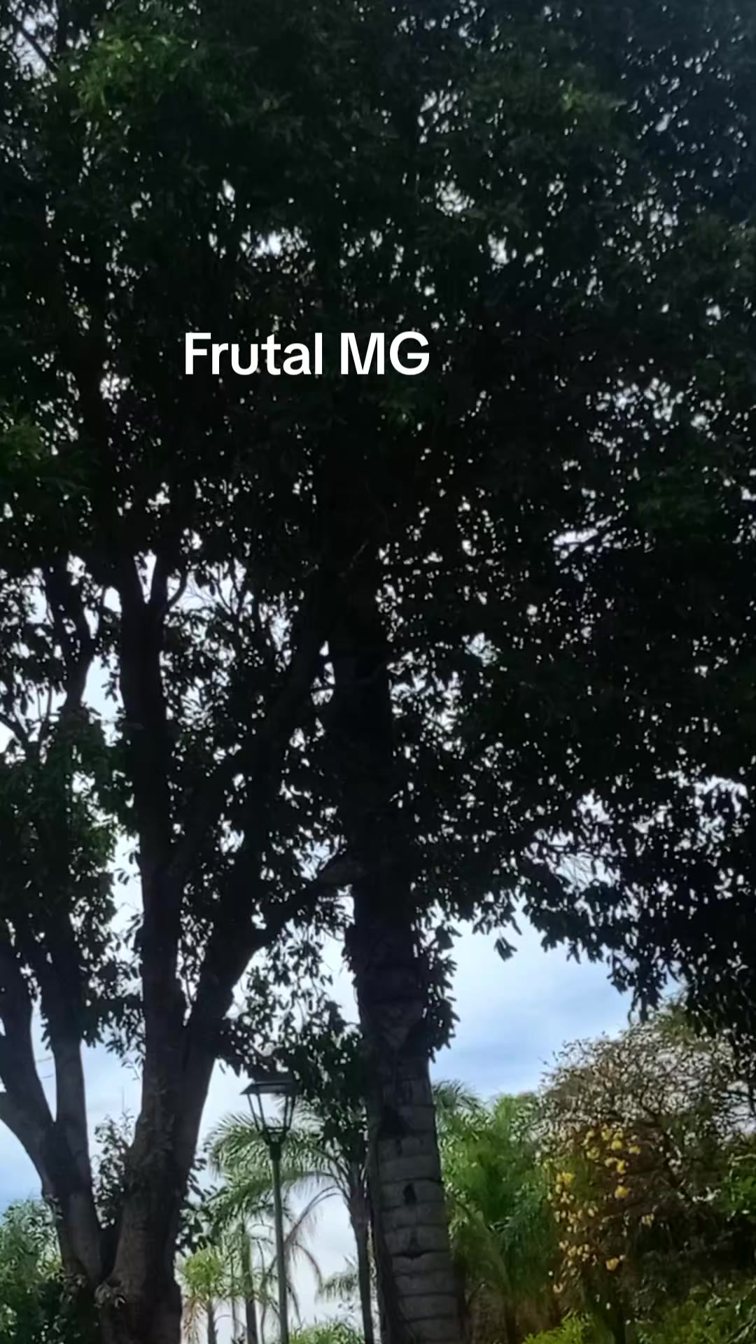 @Adriana Aparecida Si