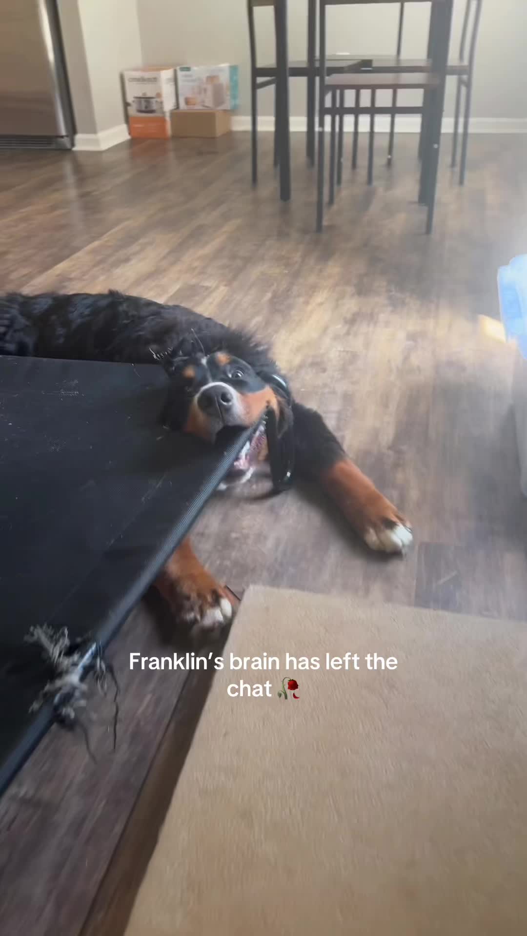 @Franklin and Mom ๐