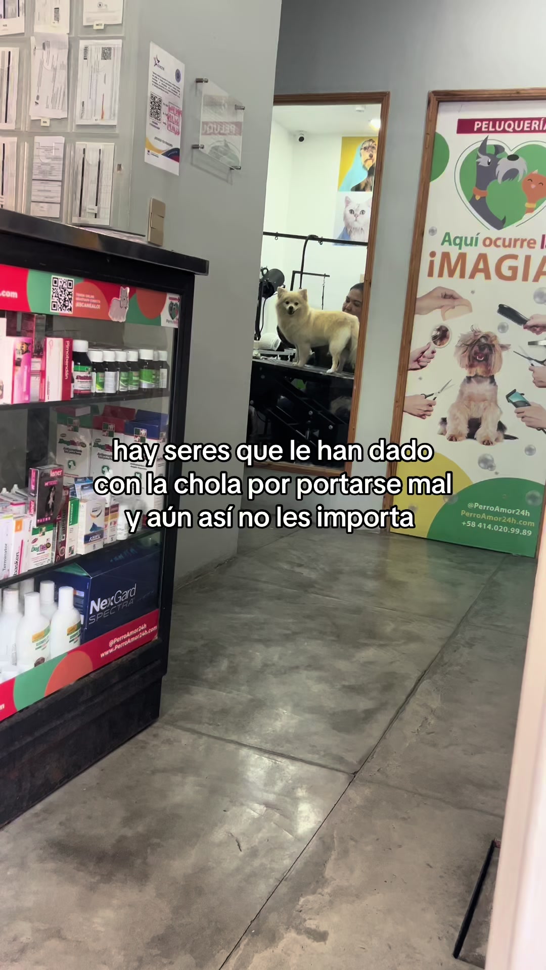 @nicole