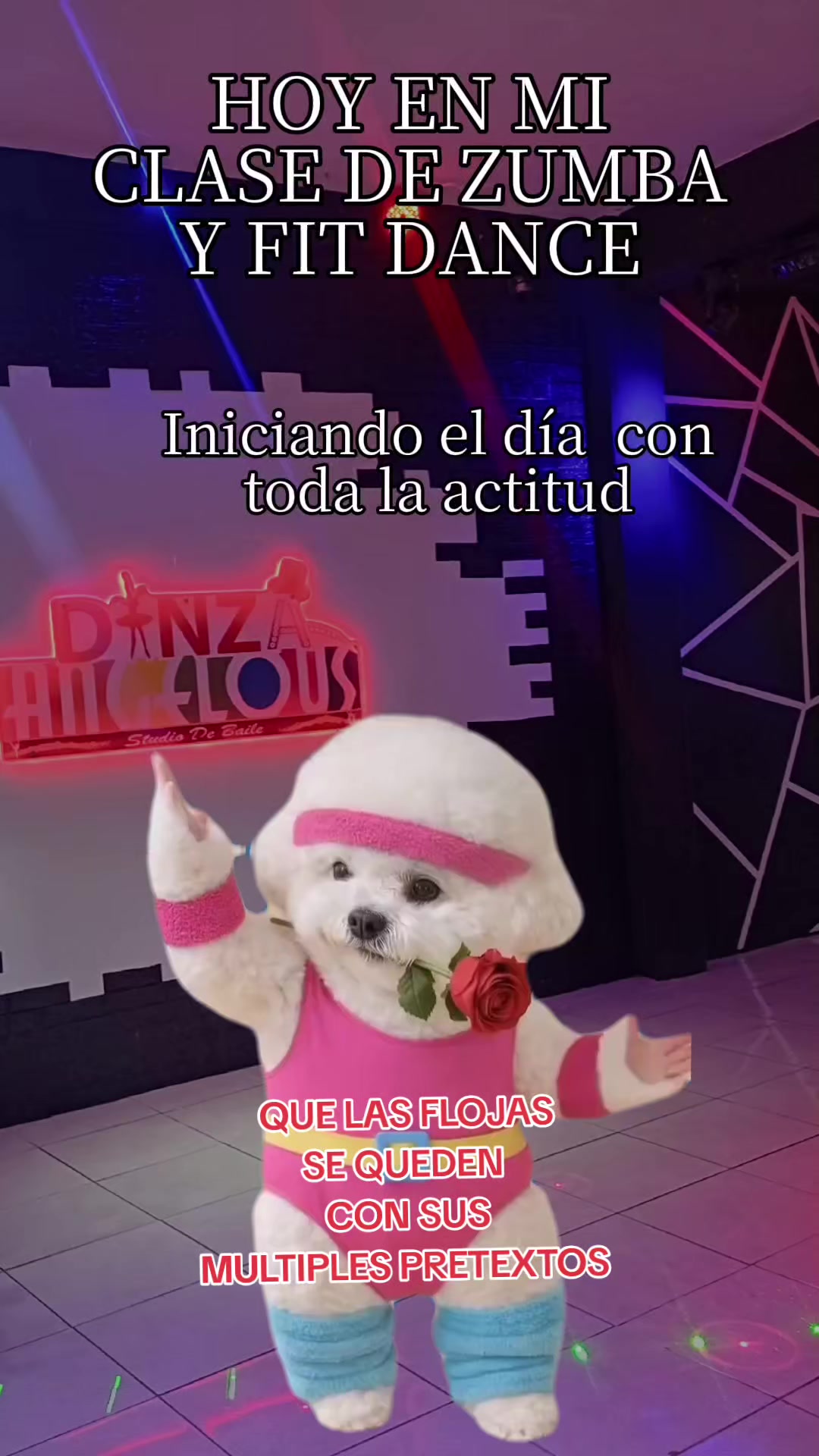 @Guido Angelous Guido