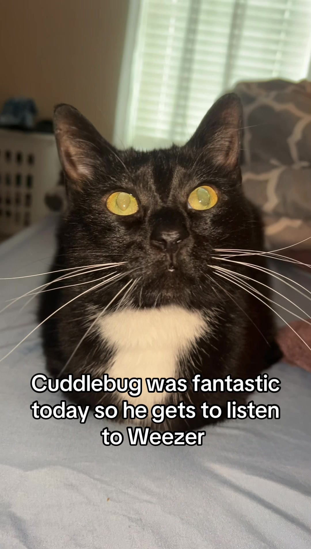 @CuddleBug