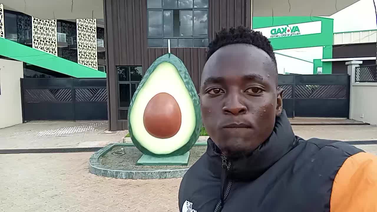 @Harmo flavor