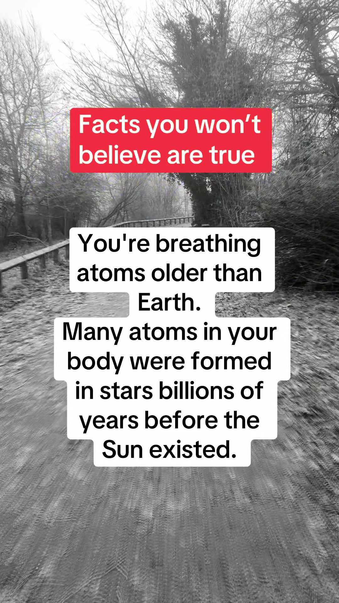 @Daily facts