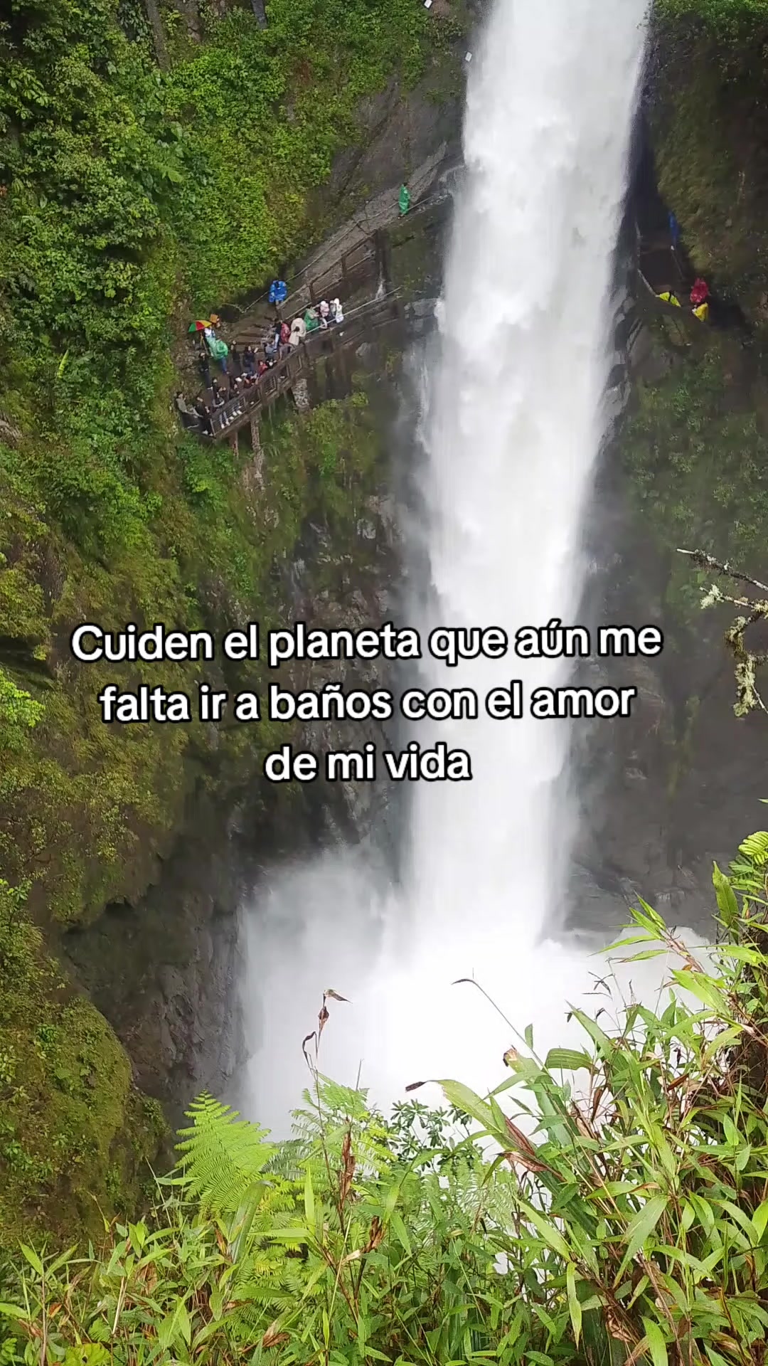 @𝓜𝓲𝓬𝓱𝓾𝓔𝓶𝓰