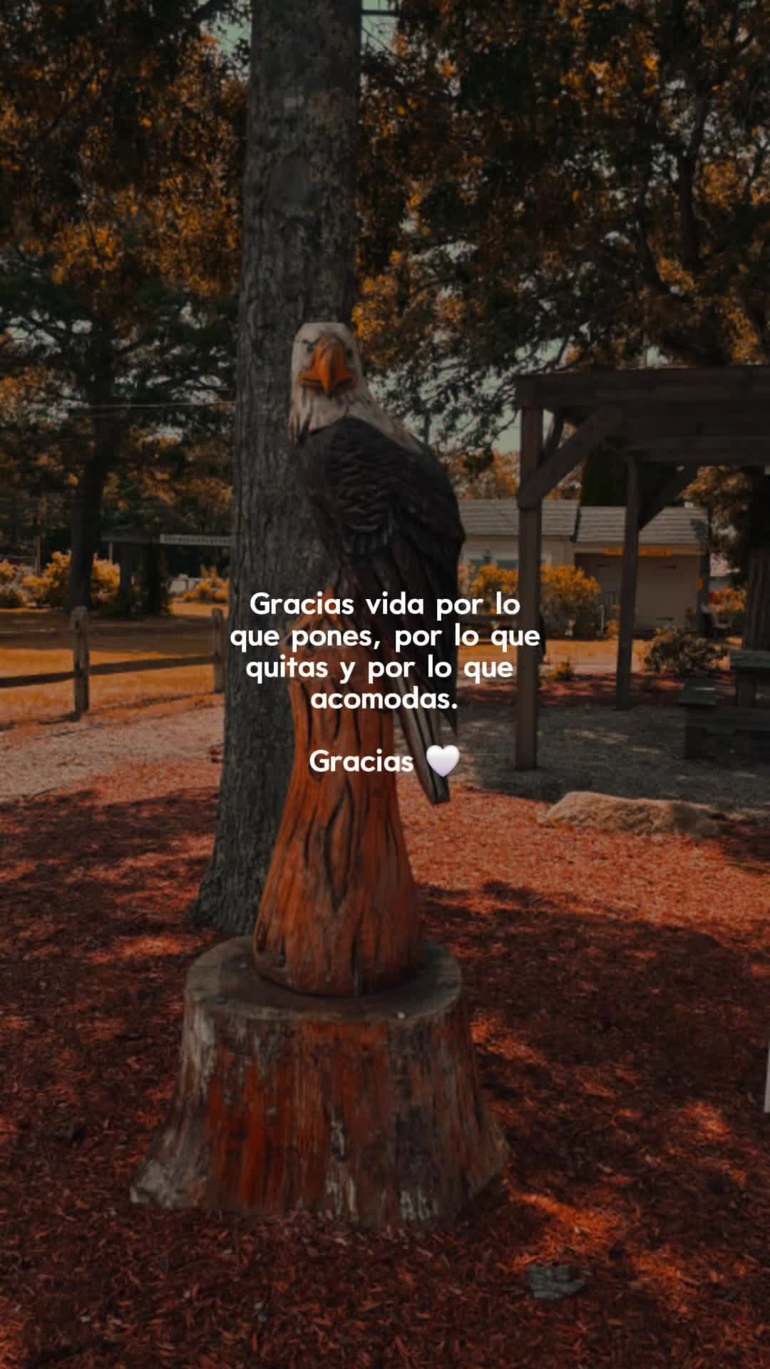 @mayerlin mendoza