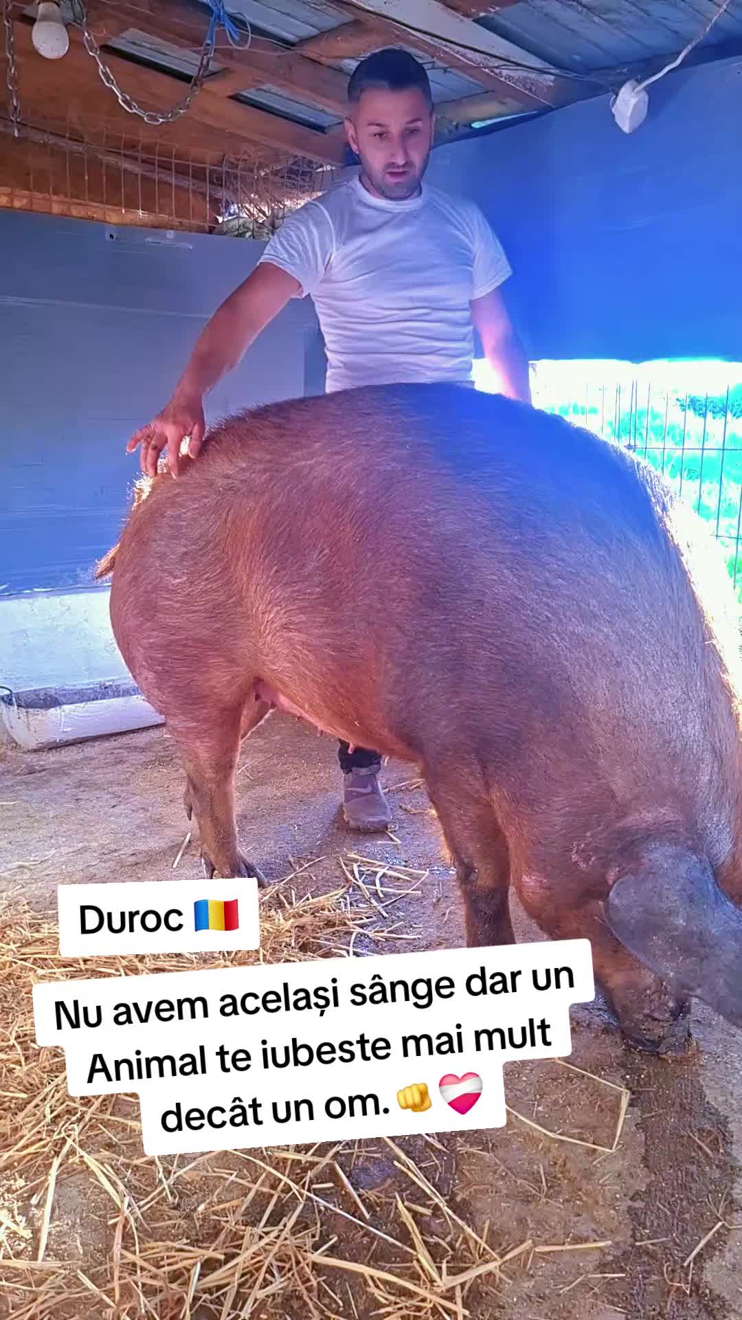 @💎🇷🇴Săndel Olteanul 🇷🇴💎