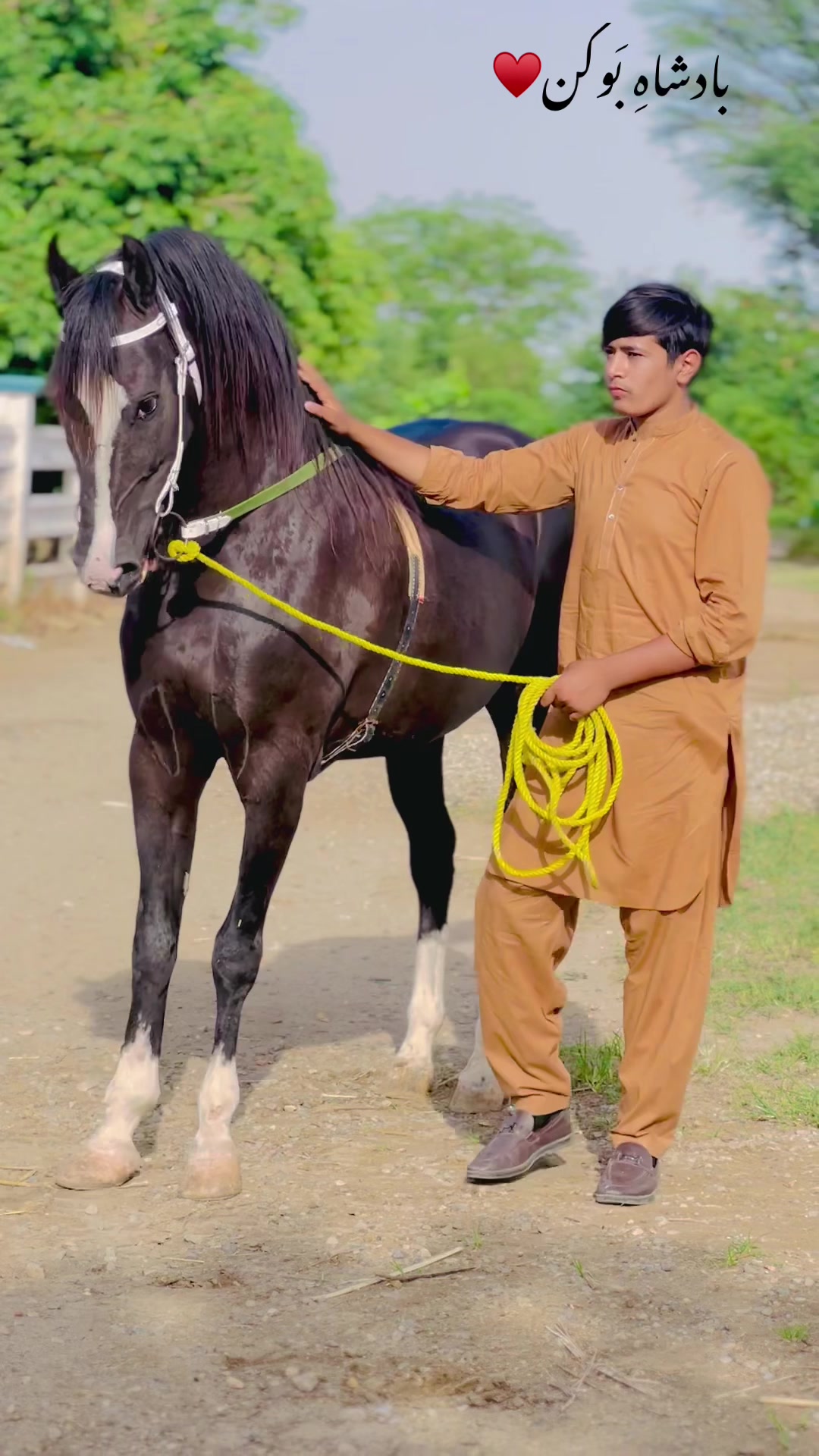 @Ch Hammad bokan ♥️🐎