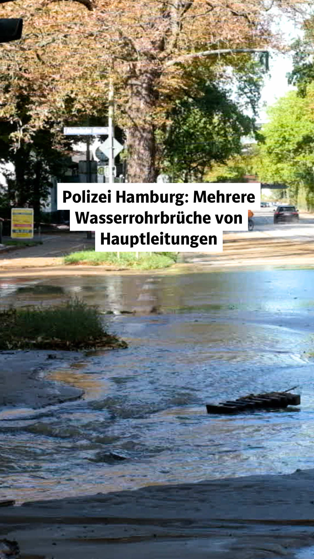 @Hamburger Abendblatt
