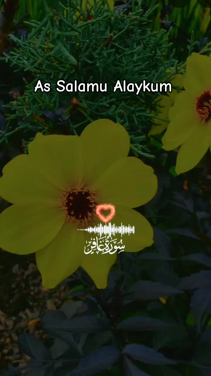 @Halima