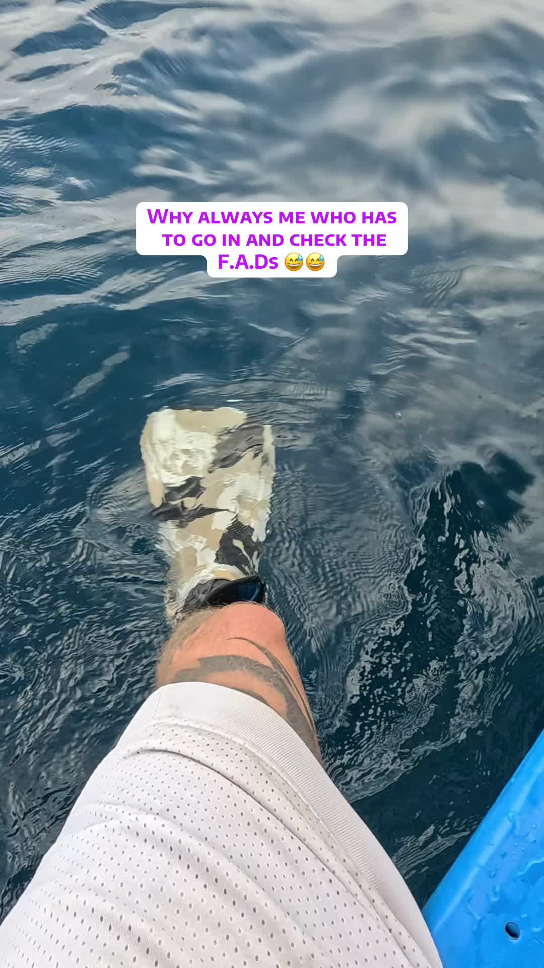 @SCUBA DAN 🦈
