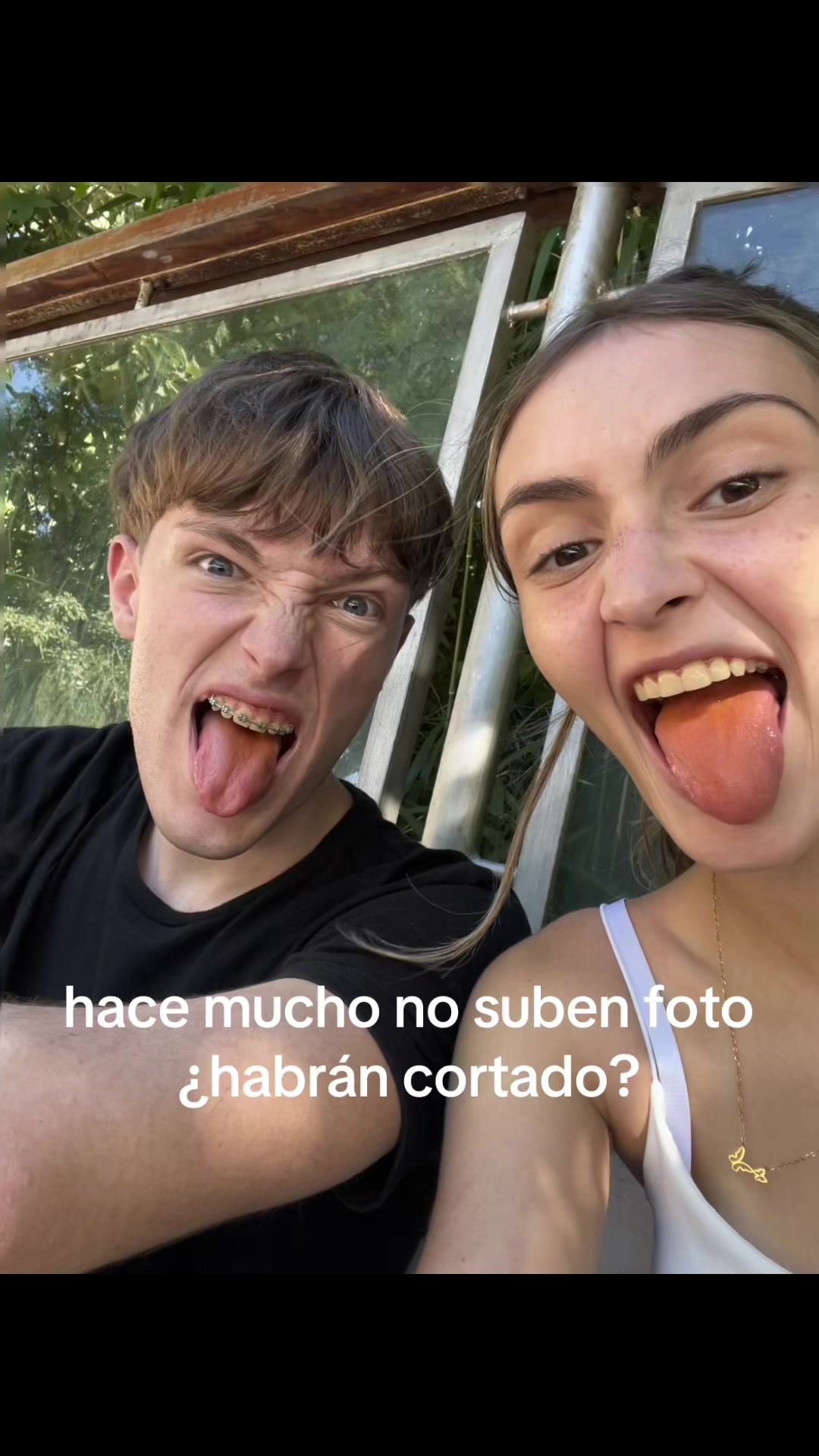 @avistepann