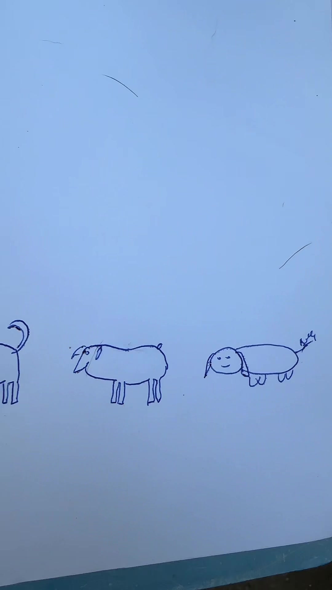 @Lucko Barf & Kutyasüti
