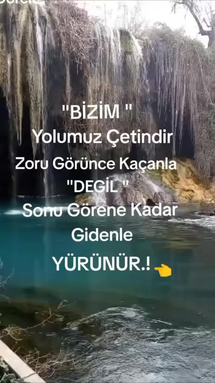 @papatyamm