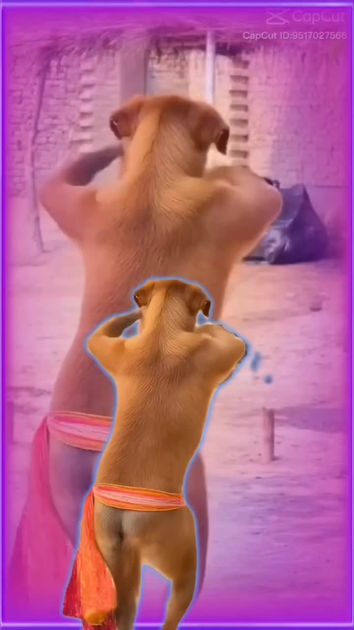 @Mina