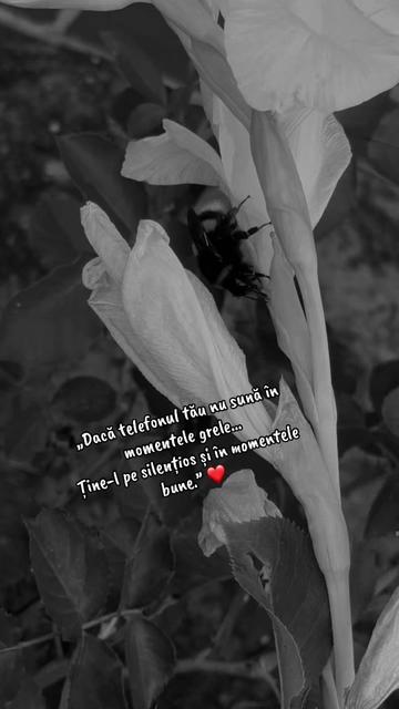 @R ♡xana