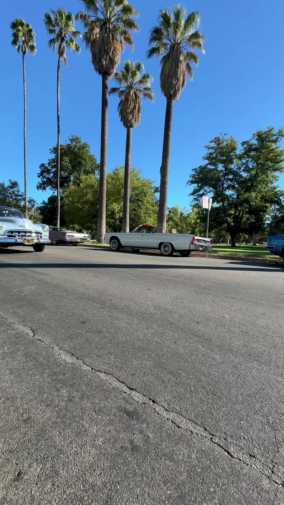 @IG @lowridingcultura
