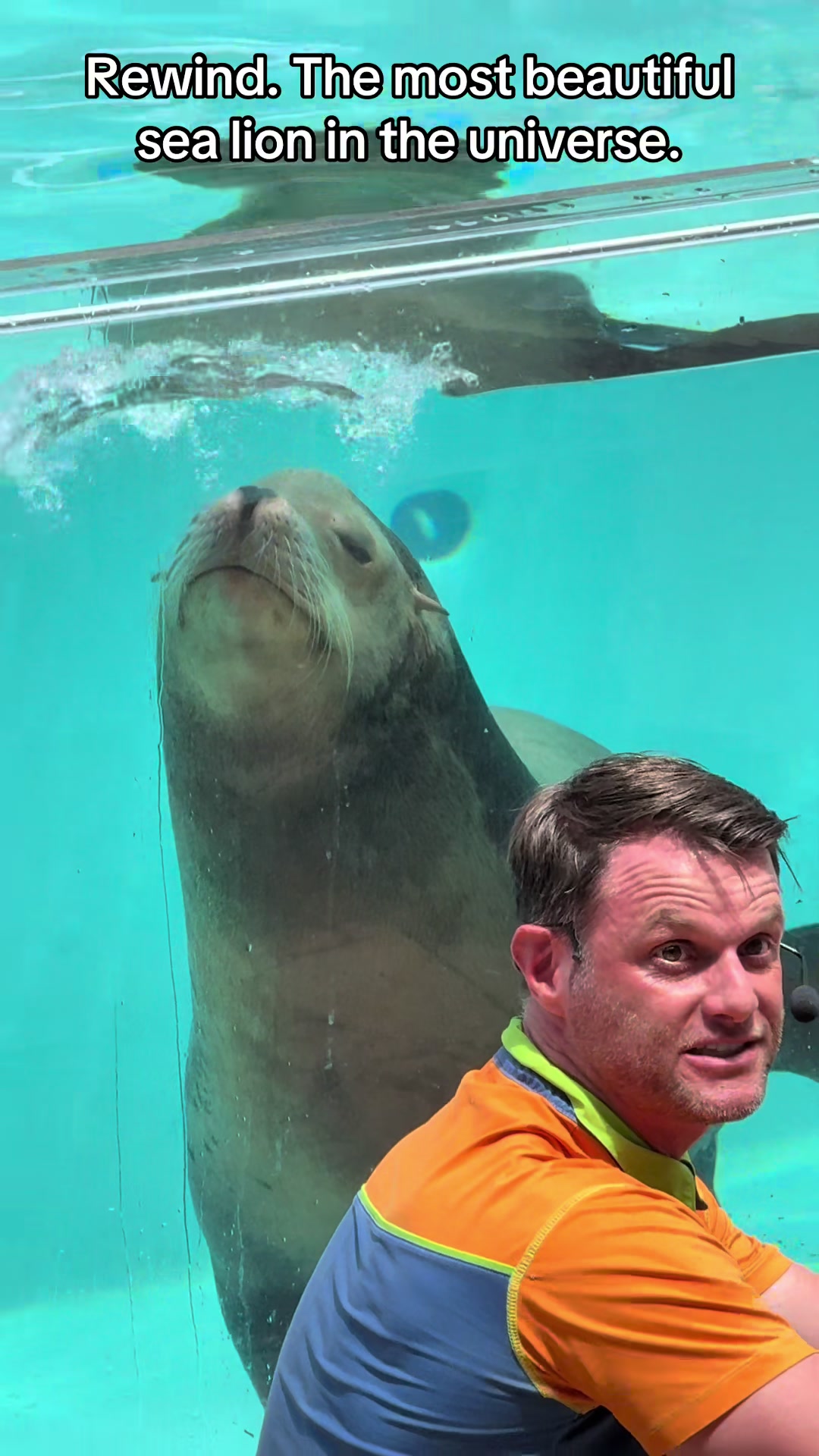 @OlivierSeaworld
