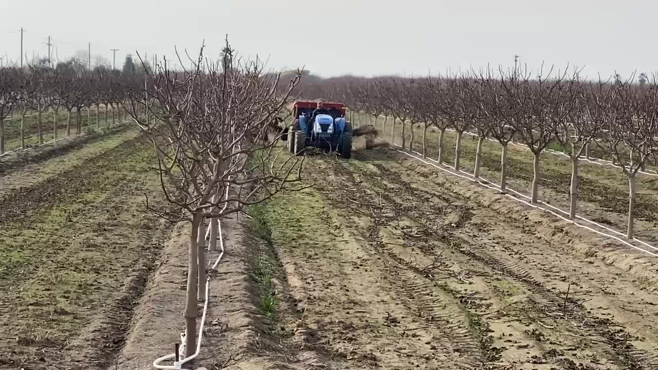 @AcemiNursery