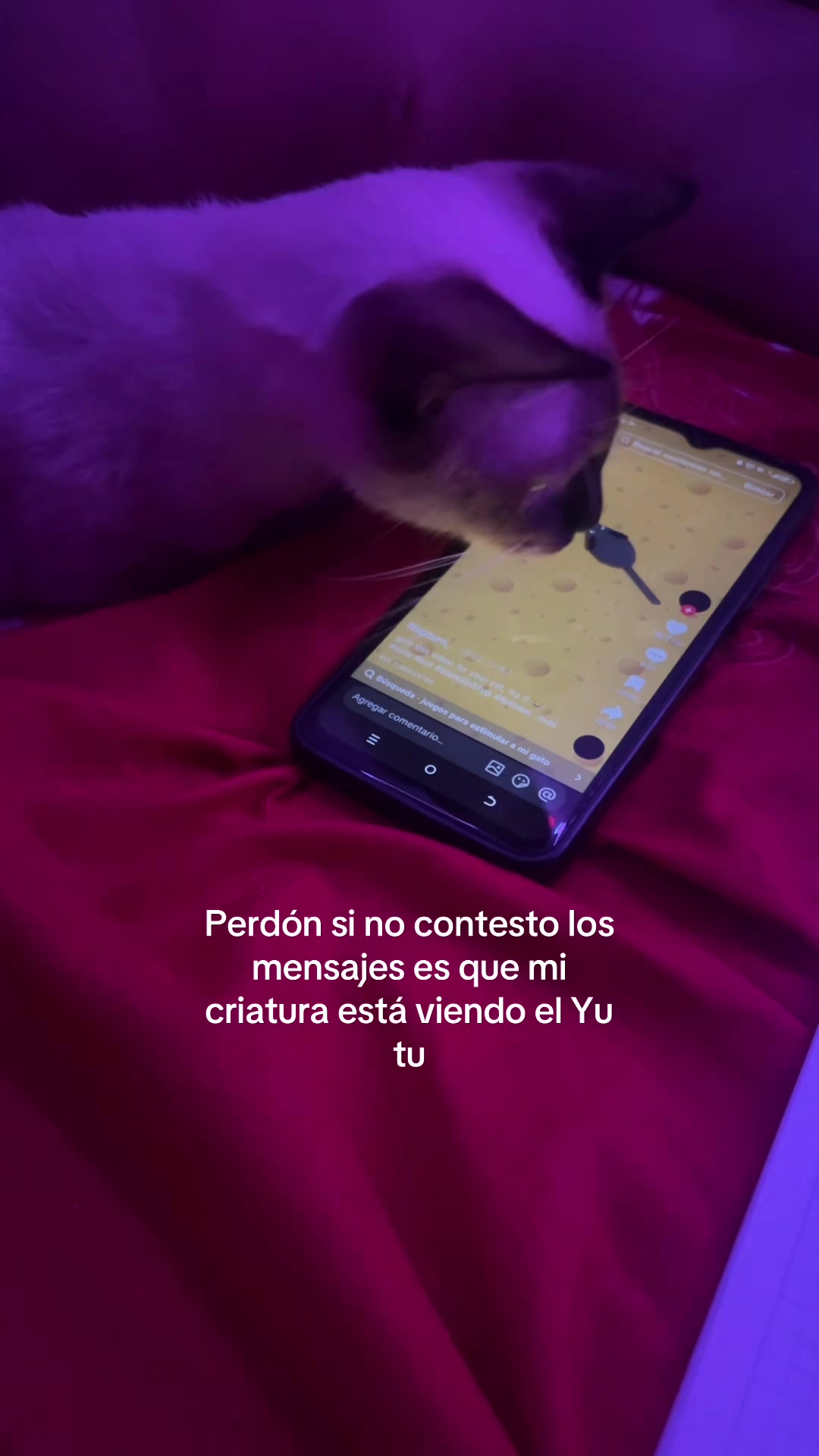 @scarleth_.M