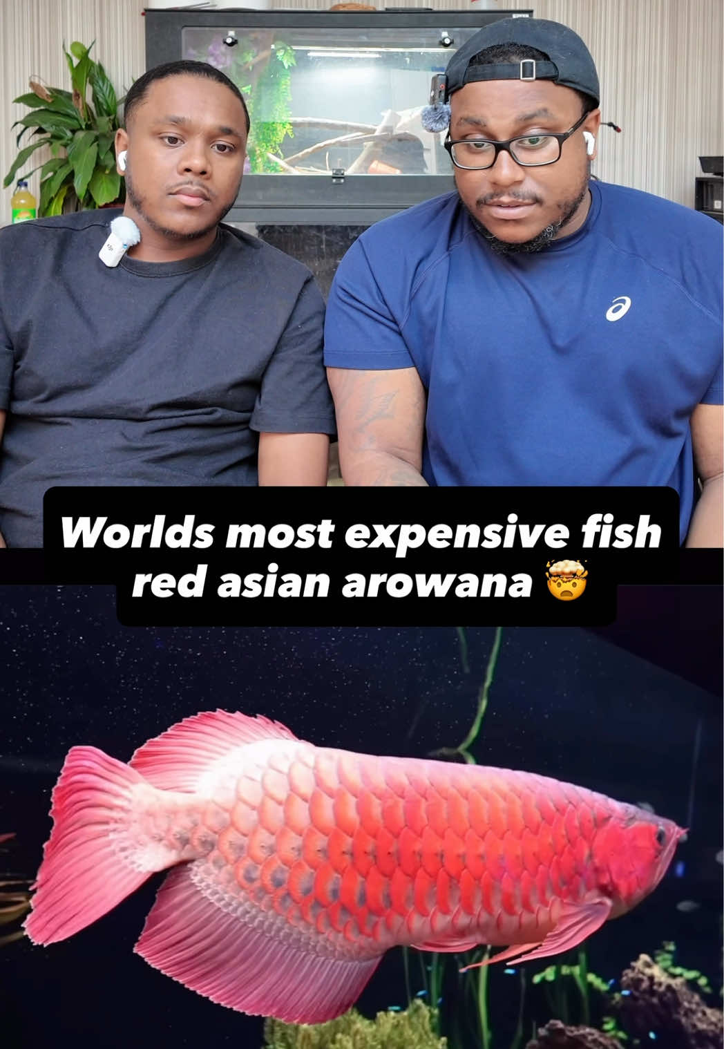 @Paw Point
