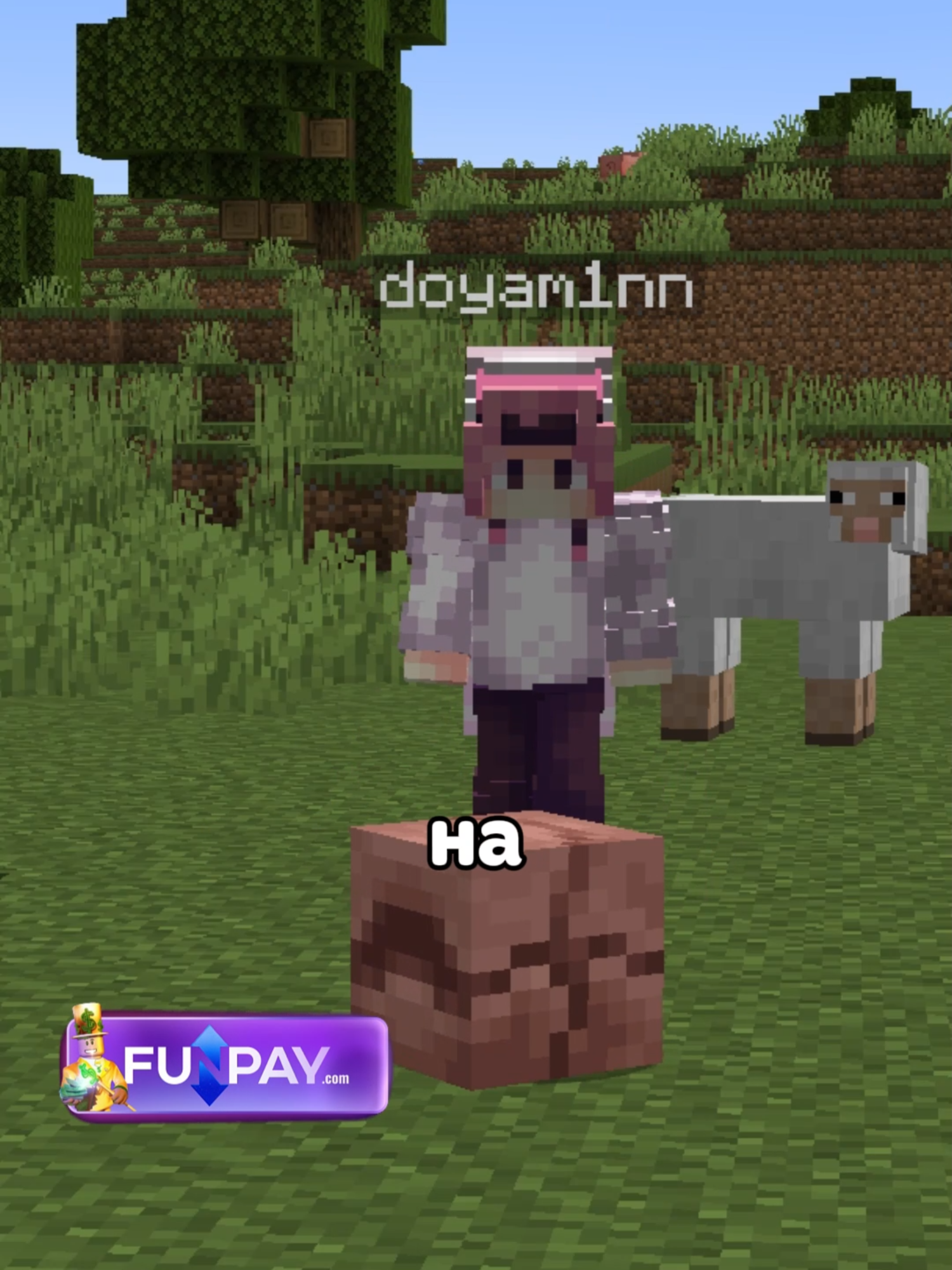 @ТГК - @doyaminn