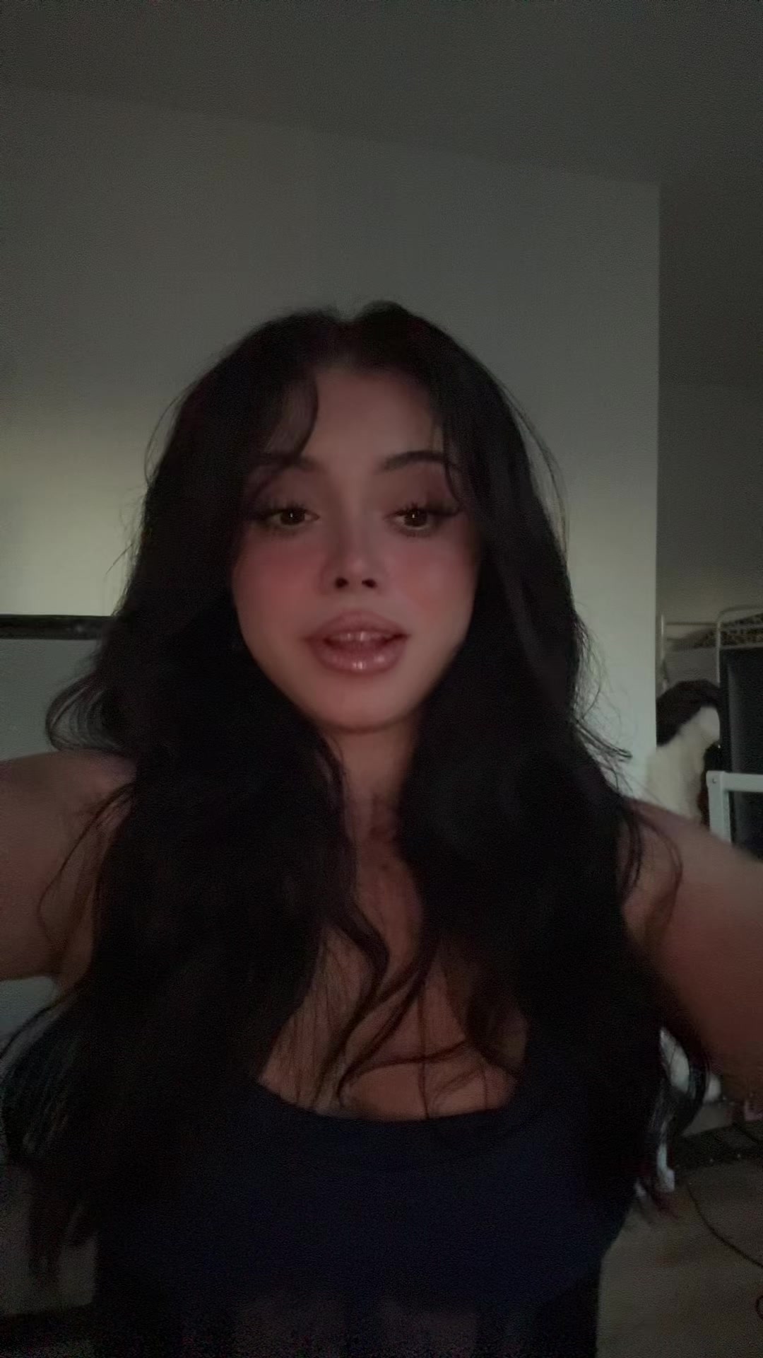 @Mitra Habibi