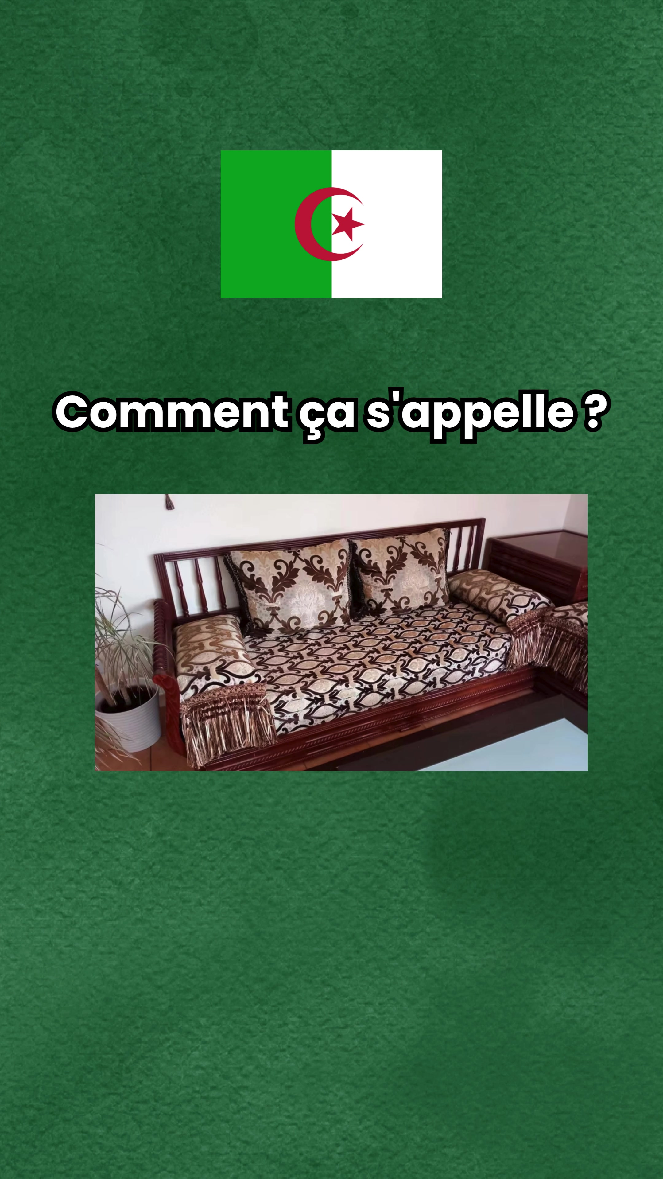@parler_algerien