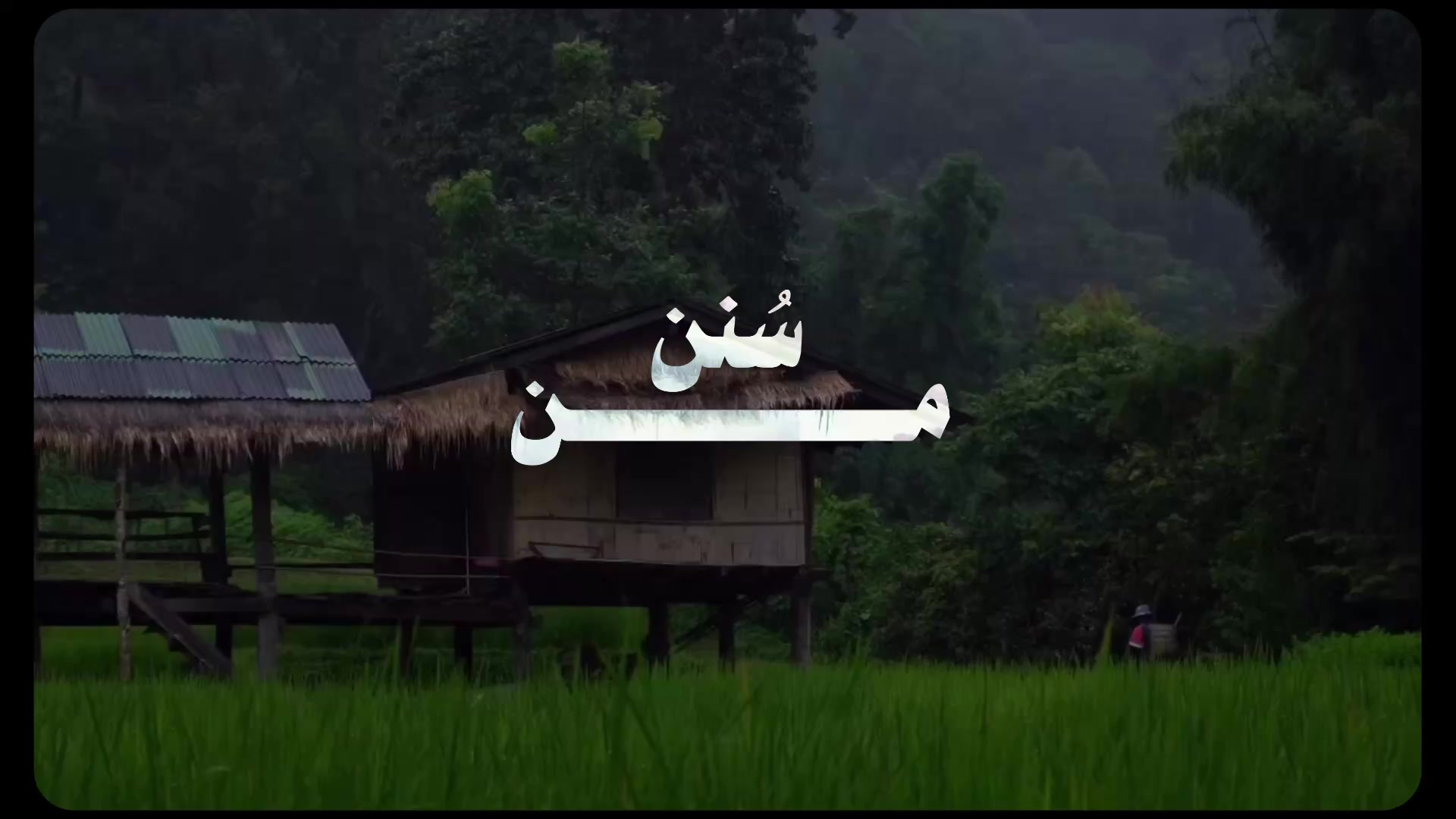 @صقر