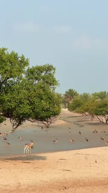 @shiponkhan1431🇧🇩🇪🇬🇪🇬