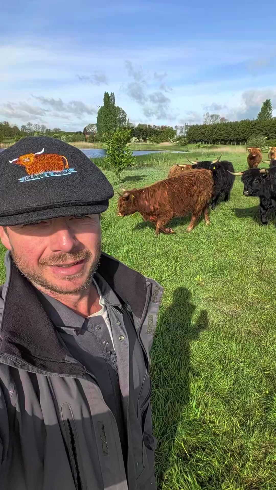 @Dumble Farm Highland Cows