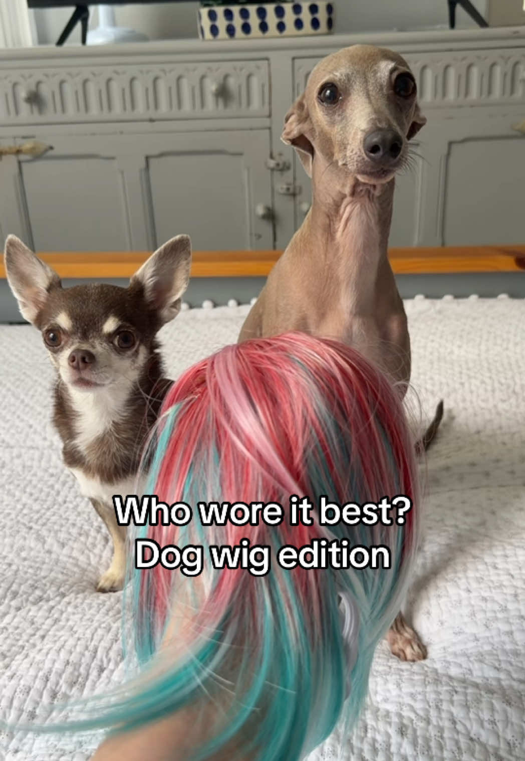 @Jasmine and Rose (and Amelia)