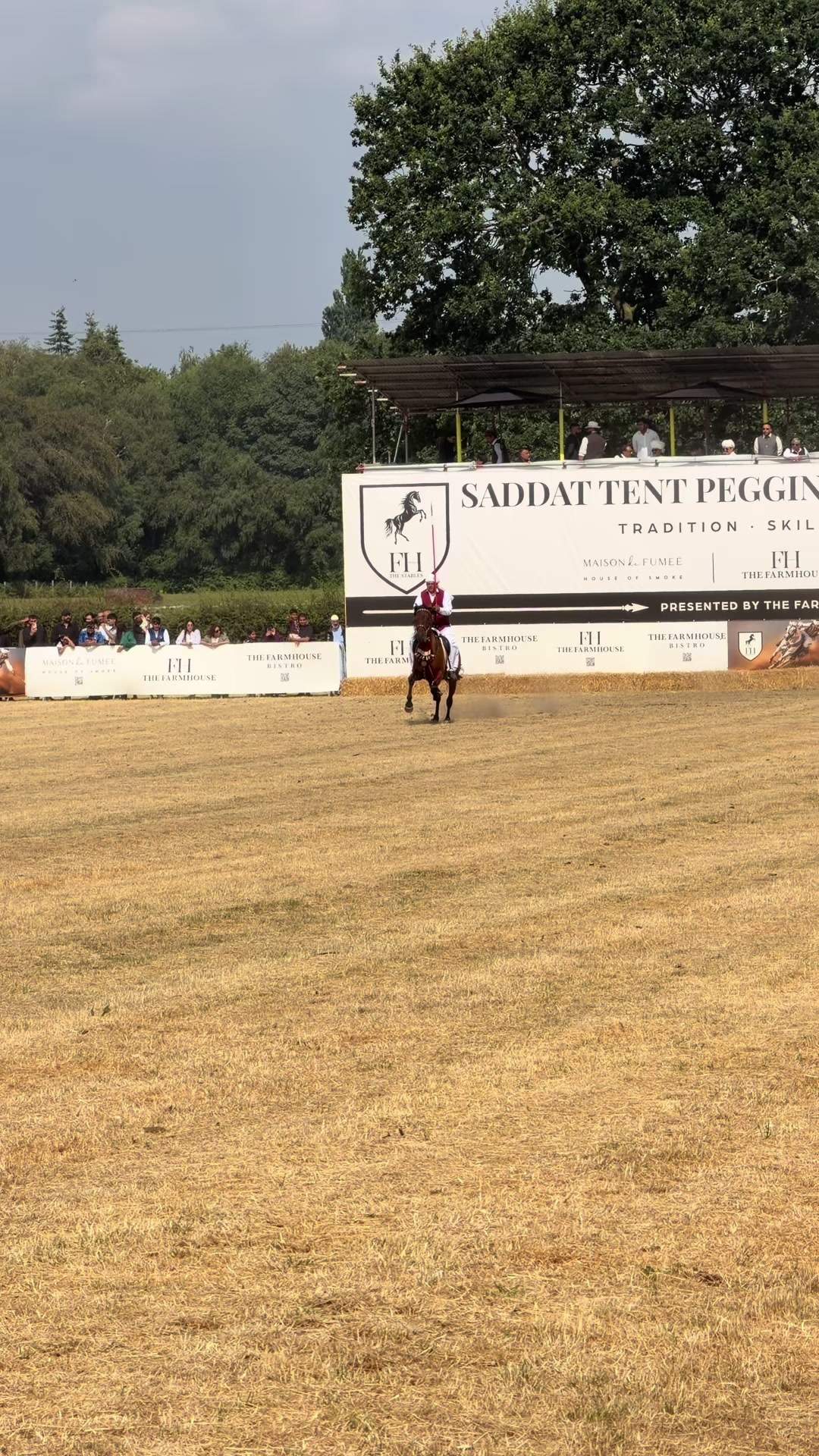 @Slough horses