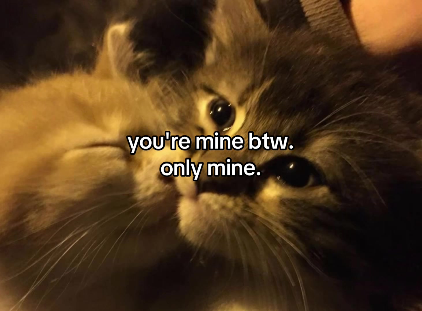 @lovecorrre