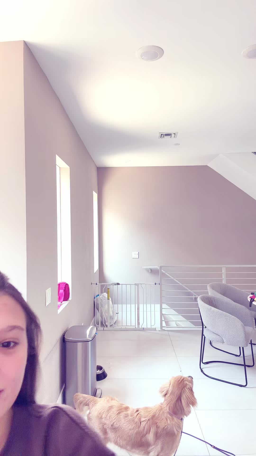 @iguanaspam