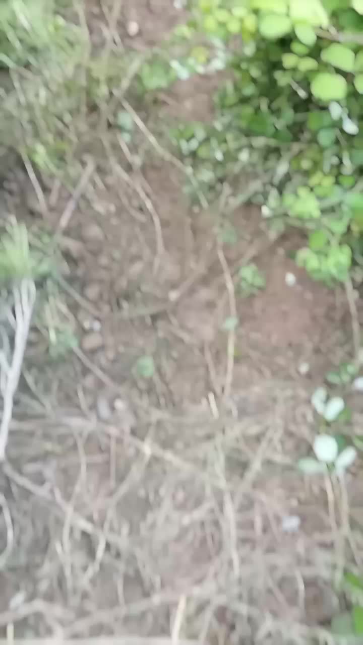 @user37172914728790