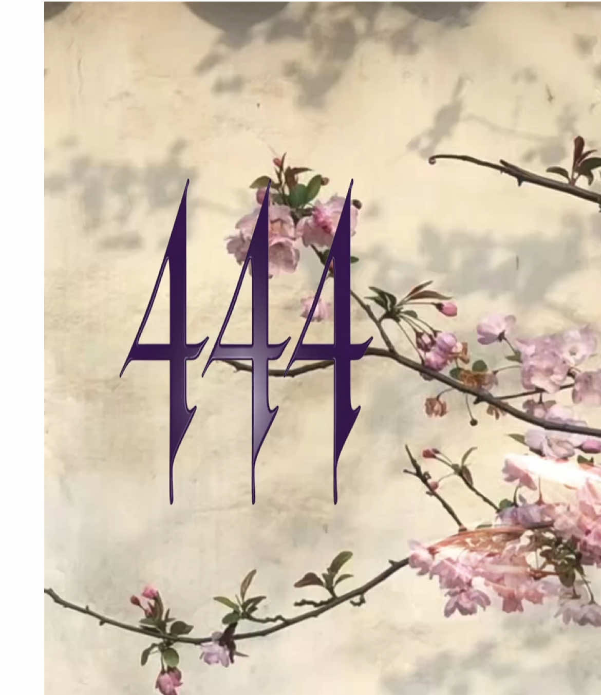 @。゚❃ུ۪
