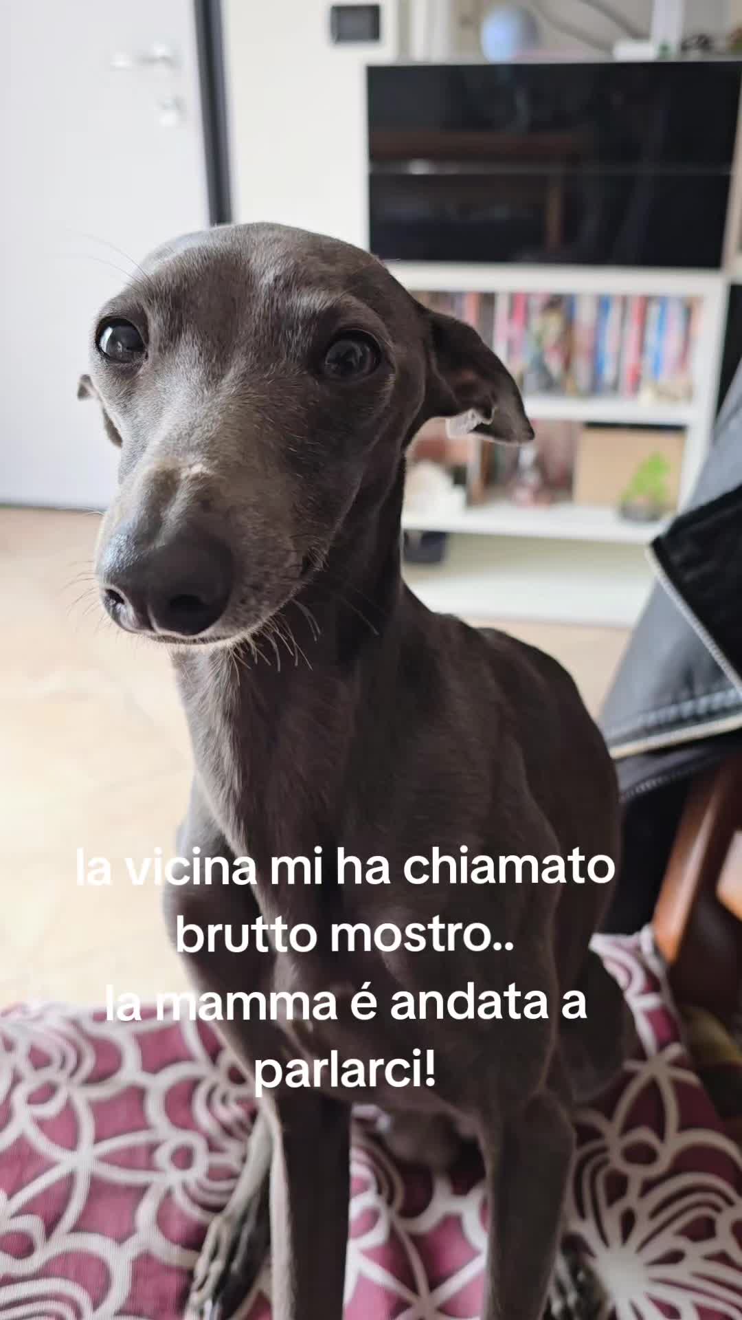 @Ketty Alchieri