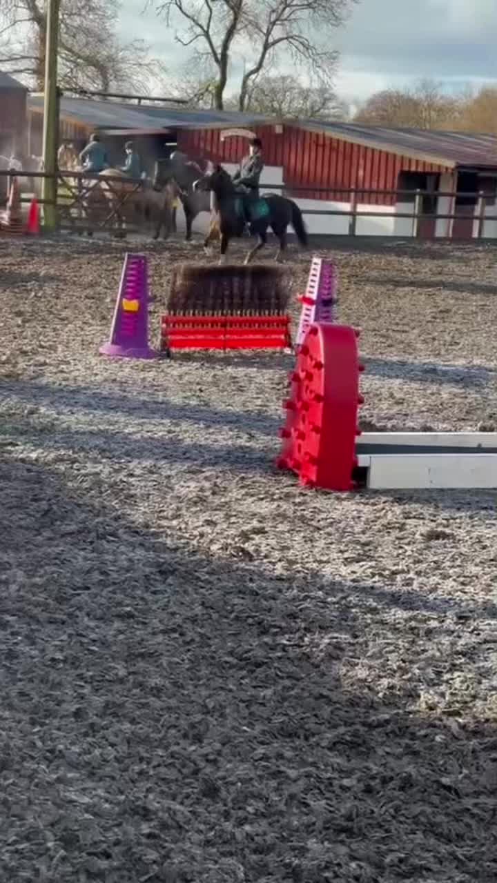 @amelia_showjumping2