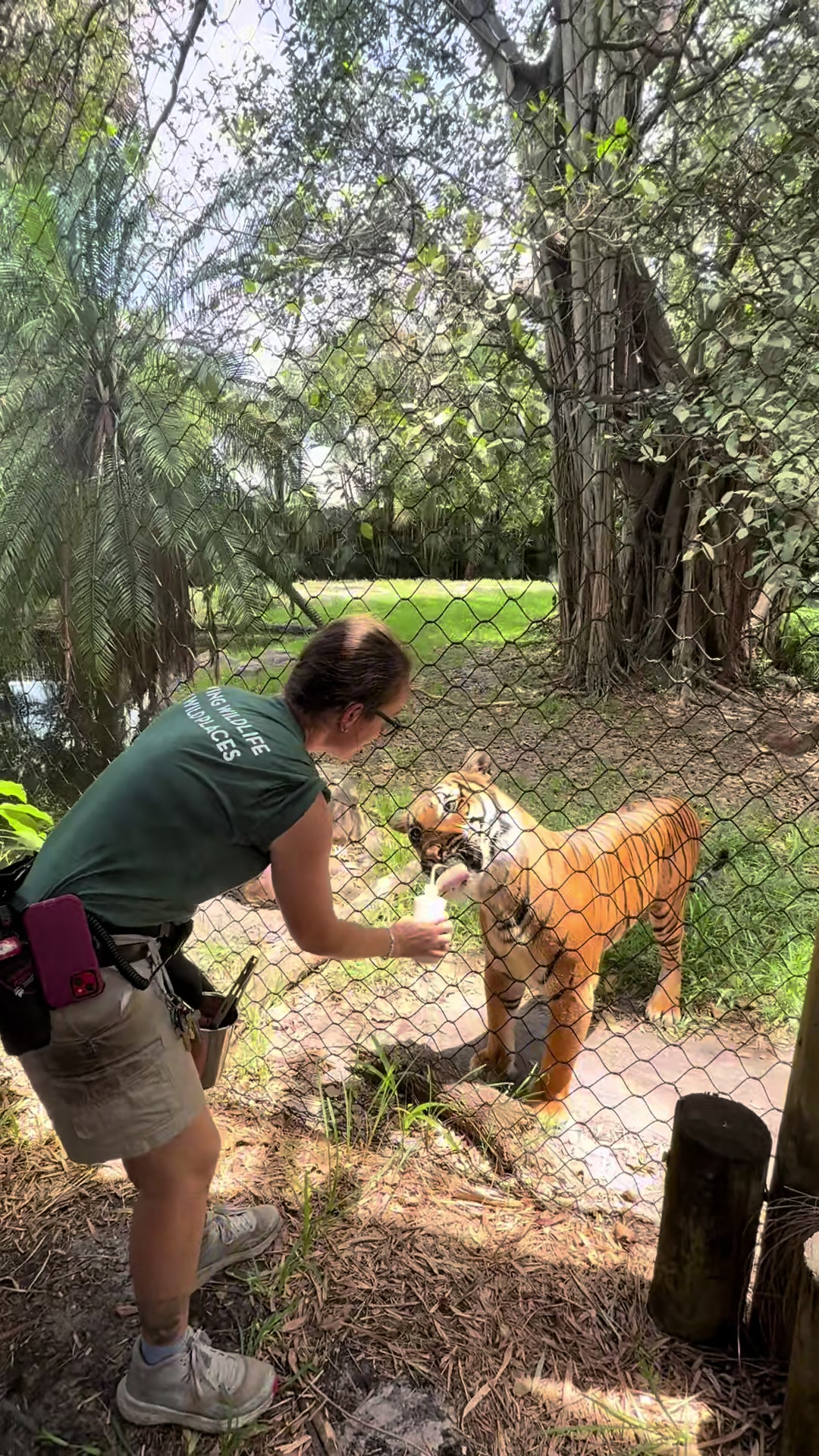 @Palm Beach Zoo