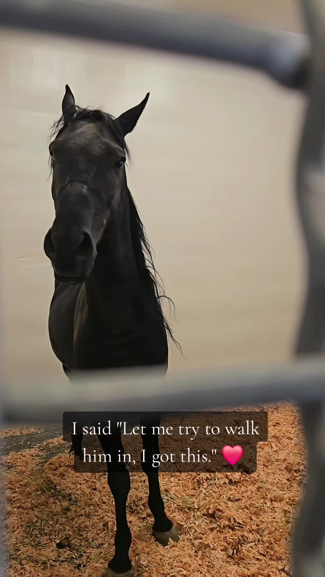 @Cowgirl Tuff Colt Training ❤️