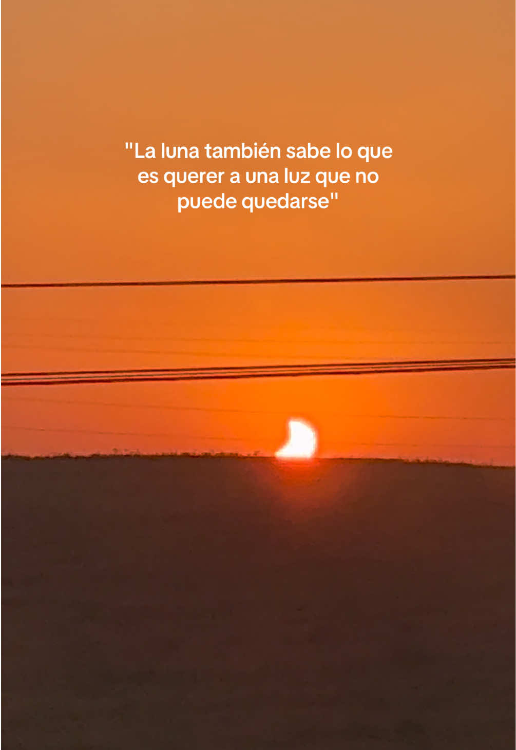 @Carla Lozano🌻