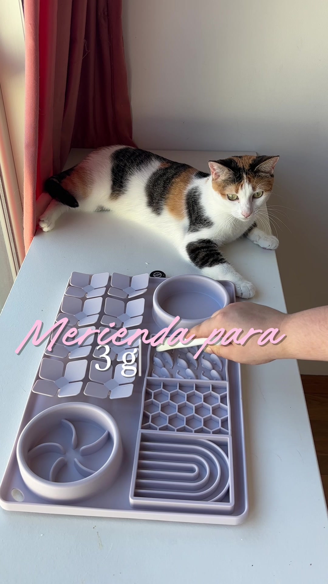 @- Alejandra  🐱💕