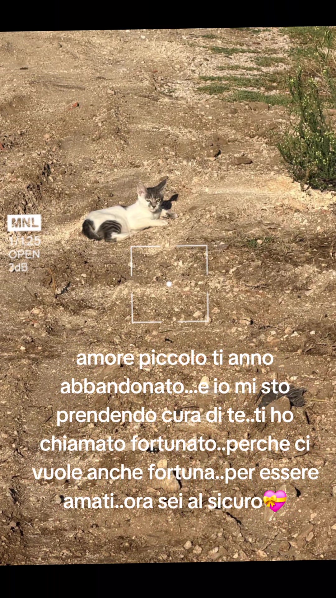 @Federica palombo