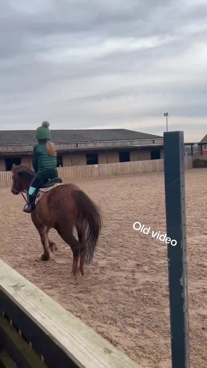 @LottiesHorseAdventures🦄🐴