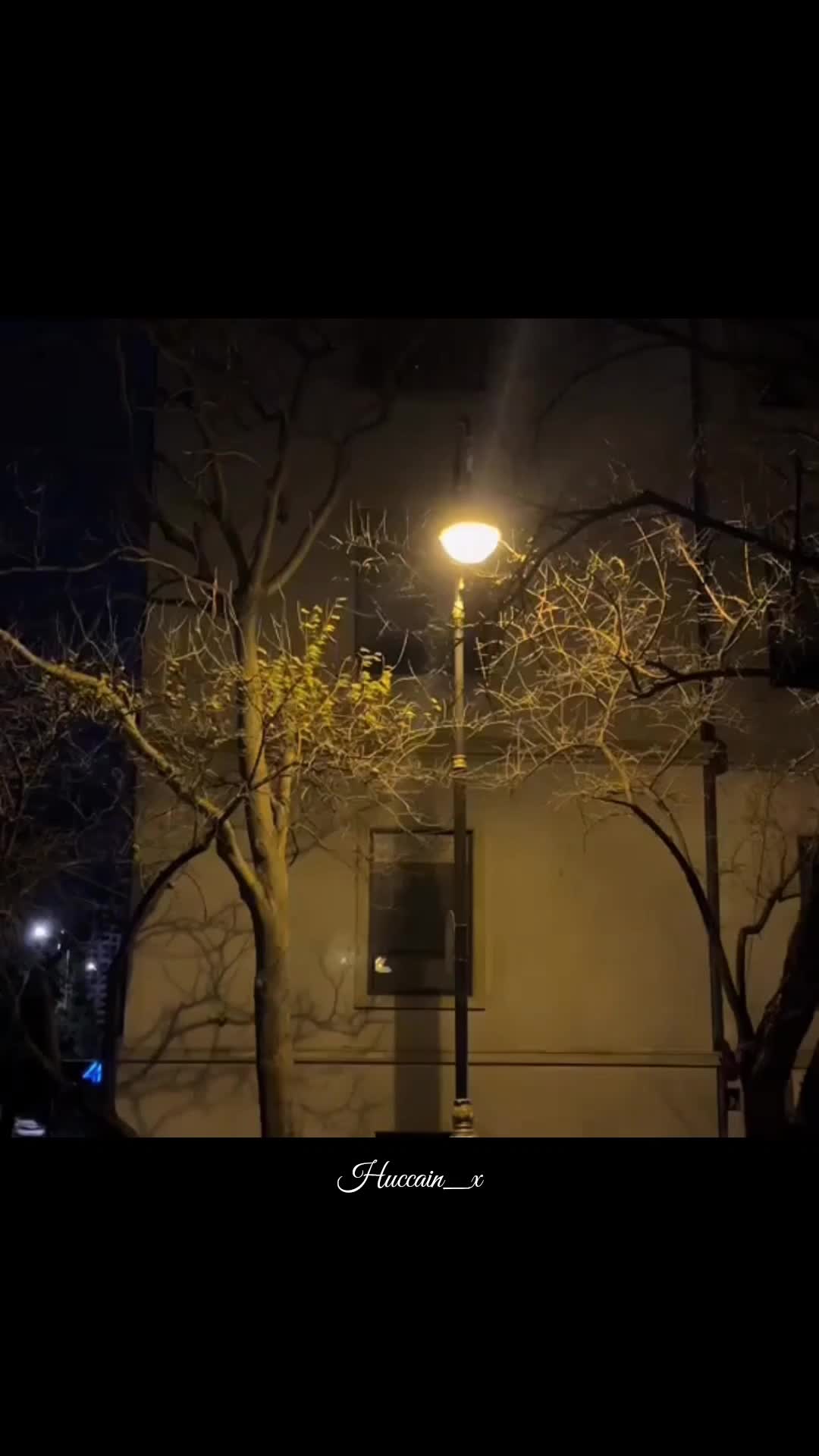 @ᕼᑌ𝚂ᗩIᑎ 🍁