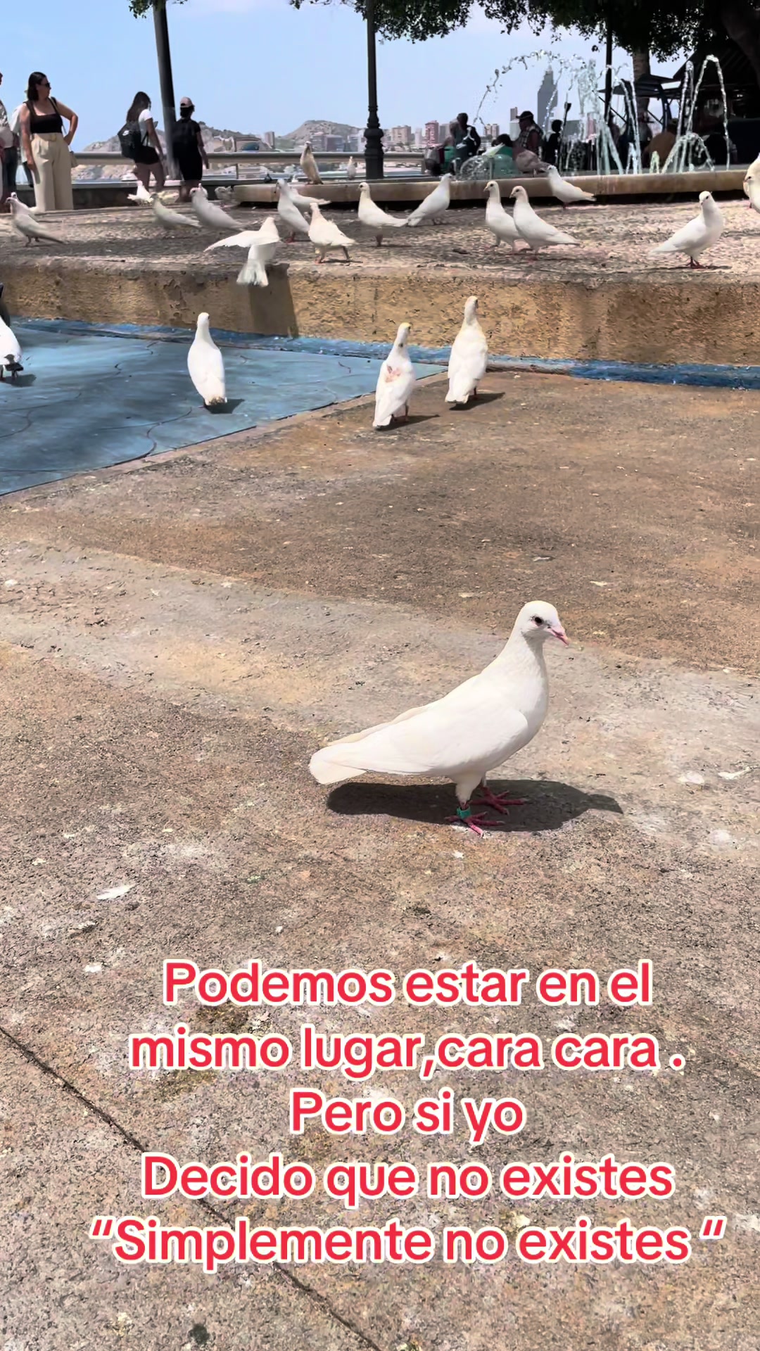 @Elsita Bejarano